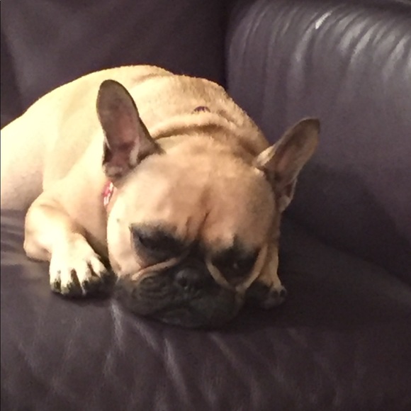 Meet your Posher, Sharon - Picture 3 of 4